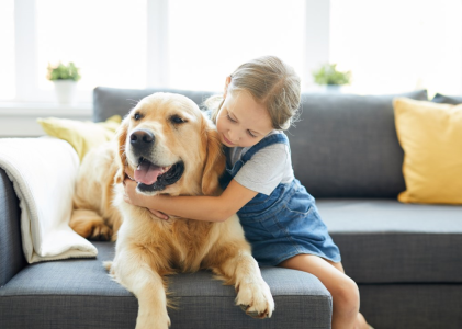 Pet Insurance – A Waste Of Time?