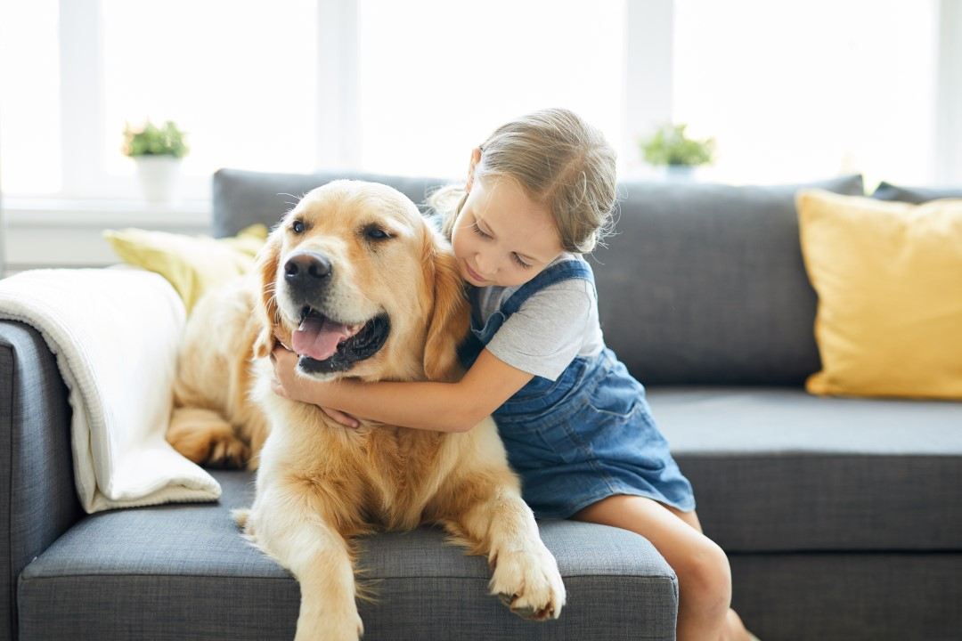 Pet Insurance – A Waste Of Time?